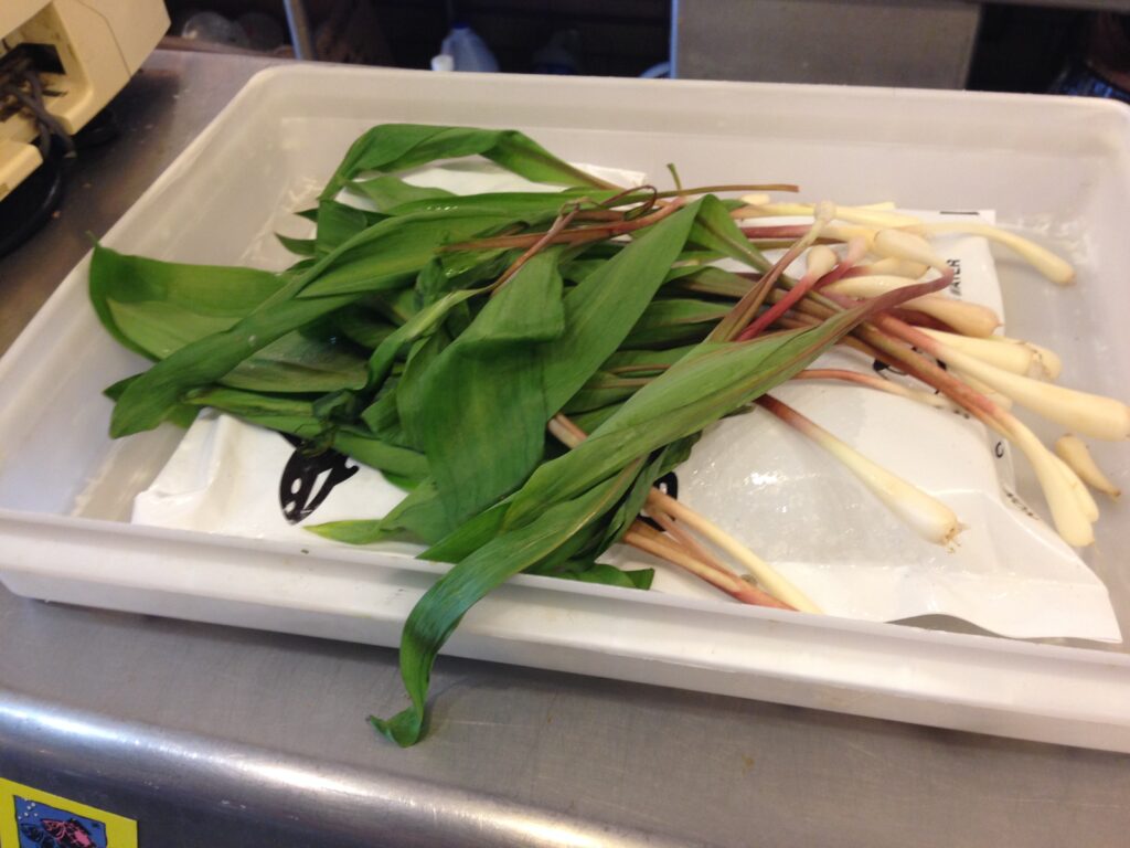 Picture of Ramps