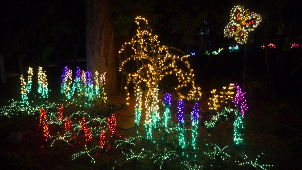 Picture of lighted garden.